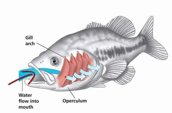 1668415962339684.jpg 1_九雷图片转换器.jpg