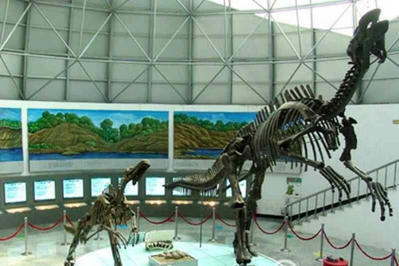 China's Eight Famous Dinosaur Fossils_The Eight Extant Dinosaur Fossils in my country