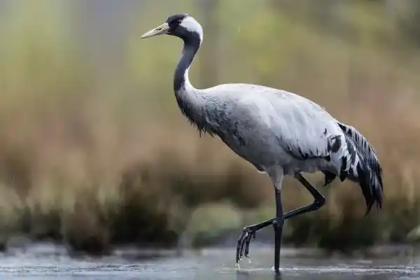 2025123118193769.webp 7.webp