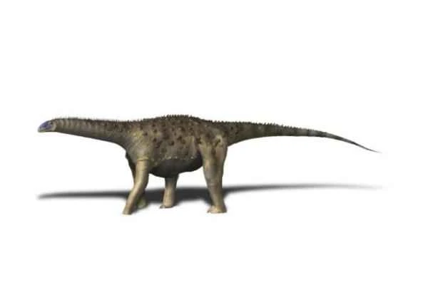 Dinosaurios in Argentina - Saltasaurus loricatus