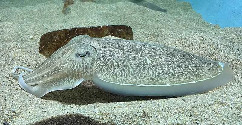 2024111720570229.jpg 55.jpg