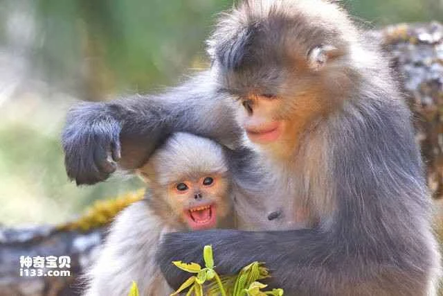 2023042012226954.jpg 5.jpg