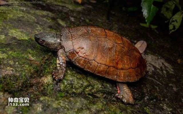 2023051116185037.jpg 66.jpg