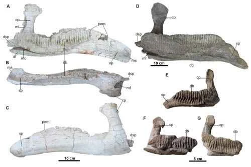 1663055223211272.jpg 2.jpg