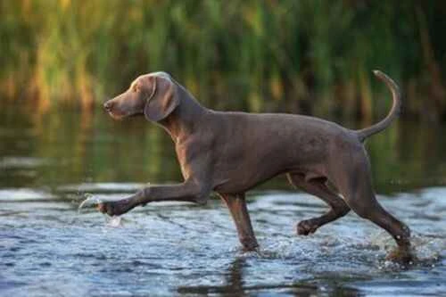 2024100818948294.jpg 6.1.jpg