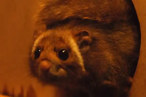 2025082658019482.webp 7.webp