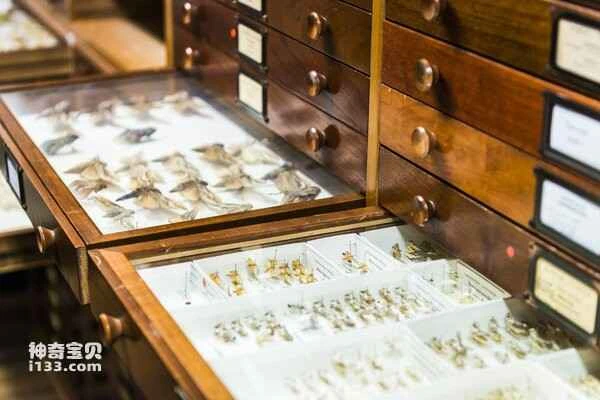 2024012320713459.jpg 4.jpg