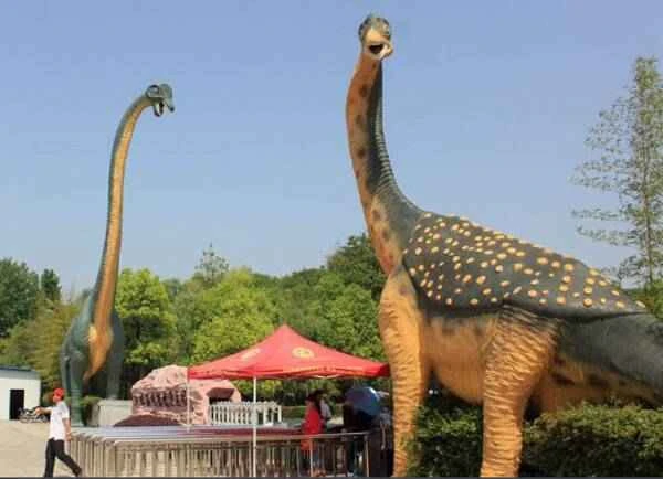 Baotianmanlong 宝天曼龙