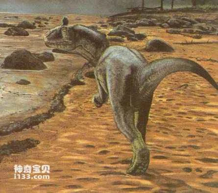 Physical characteristics and lifestyle of the Cholera (the largest carnivore in the Early Jurassic period).