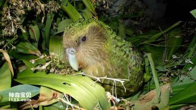 2023053043721863.jpg 5.jpg