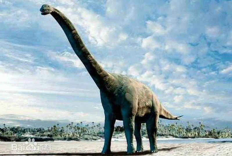 1670220697851266.jpg 4.jpg