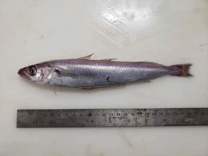 2025022717454057.jpg 8.jpg