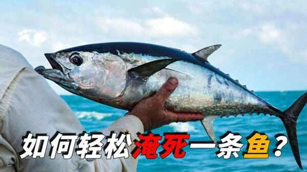 1668415917312507.jpg 5_九雷图片转换器.jpg