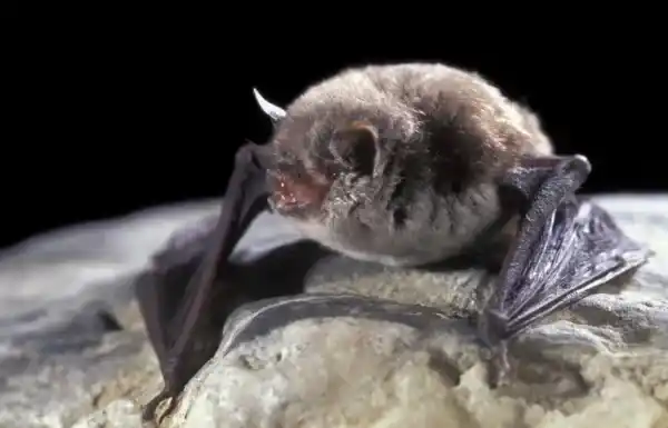 2025073115817607.webp 9.webp