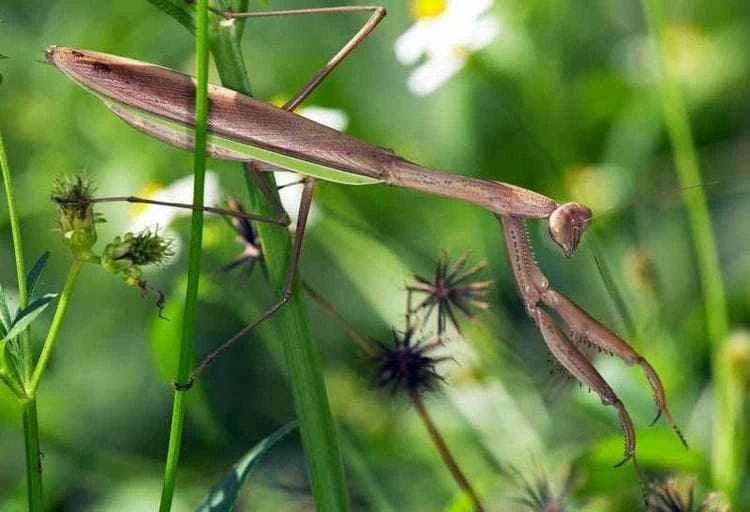 2025101377447642.jpg 10.jpg