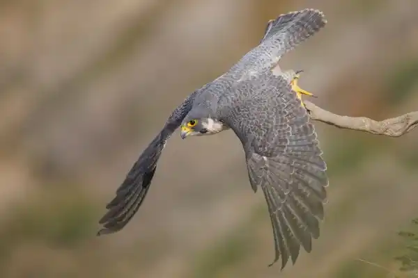 2025083010834758.webp 7.webp