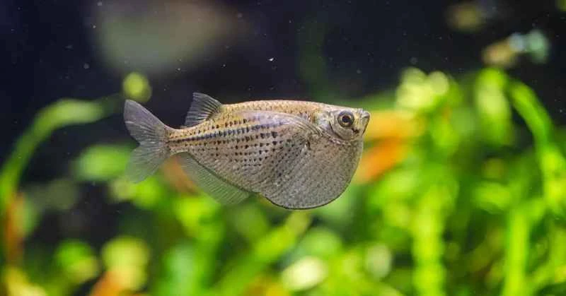 2024091876582356.jpg 4.jpg