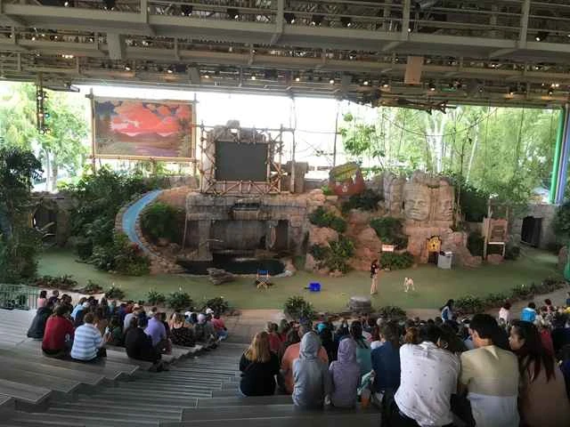 Top 10 Zoo Animals with the Best Acrobatic Performances