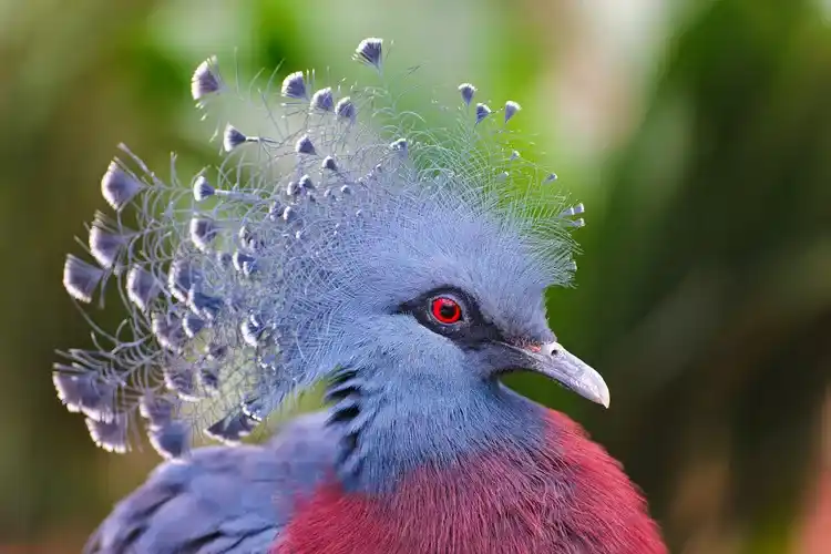 After seeing these 15 bird-themed hairstyles, even hairstylist Tony was impressed.