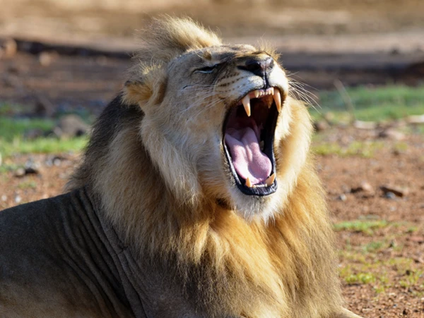 2024092814105107.png 6.png