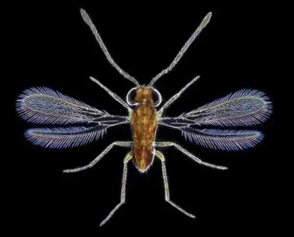 2022121915868152.jpg 2_九雷图片转换器.jpg