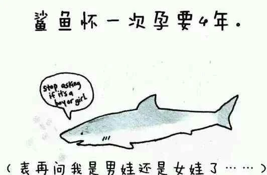 30 interesting animal facts, how many do you know?