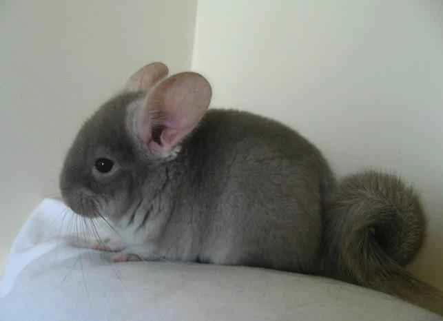 1658401576107578.jpg 1658401576107578.jpg