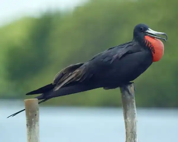 2025072911643723.webp 8.webp