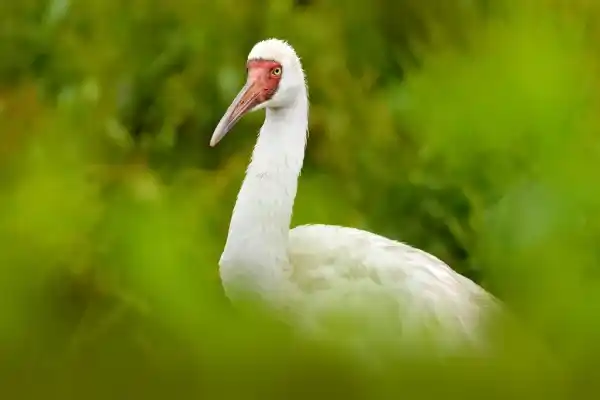 2025123121182483.webp 3.webp