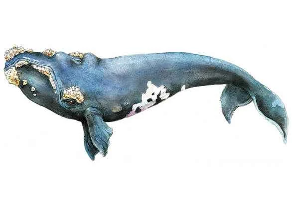 2025032144406350.jpg 3.jpg