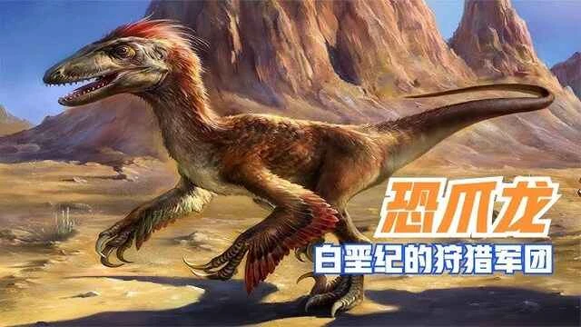 Deinonychus 恐爪龙(Deinonychus)