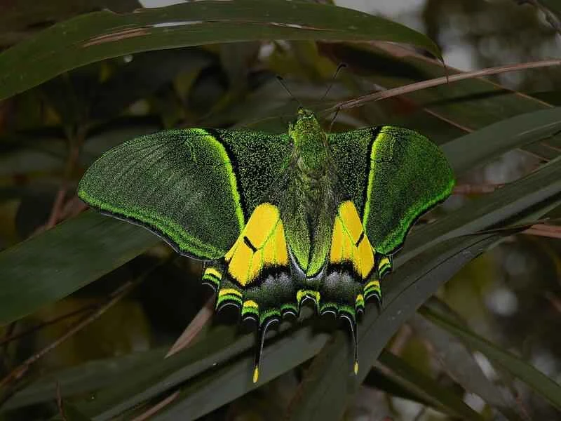 2024110660980914.jpg 11.jpg