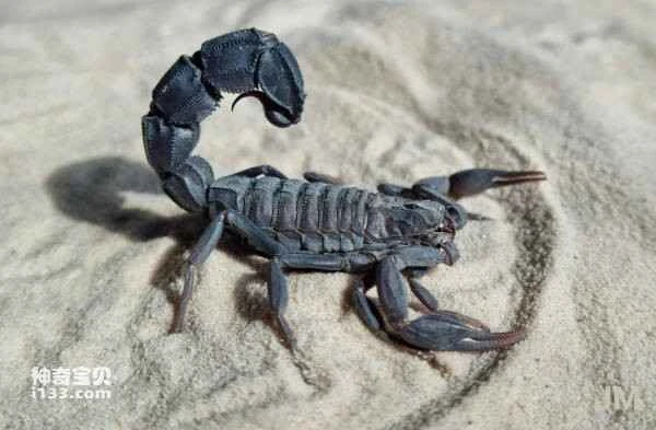 2023110636438455.jpg 3(1).jpg