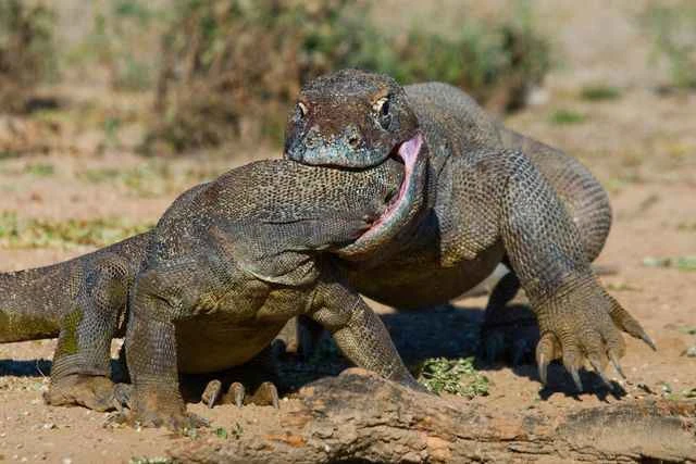 2024092555273288.jpeg 10.jpeg