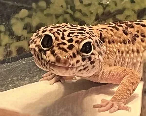 2024092913791514.jpg 6.jpg