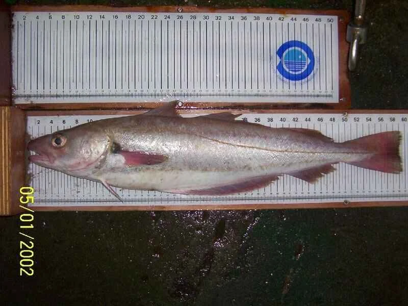 2025022744983972.jpg 77.jpg