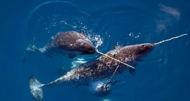 2024092655486469.png 2.png