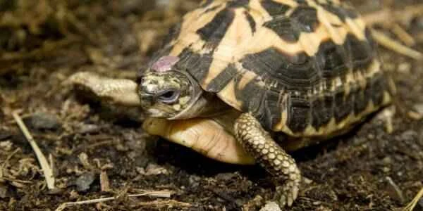 2023091119996270.jpeg 8(1).jpeg