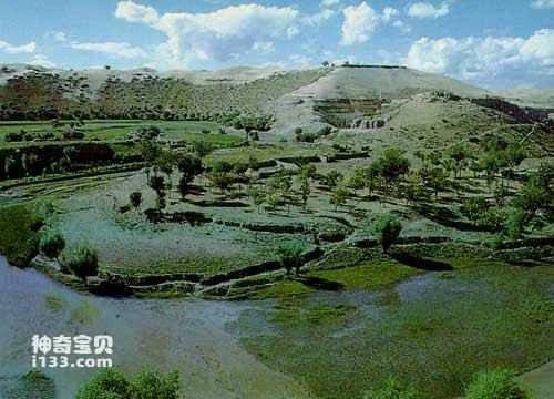 Mammal evolution and environmental change