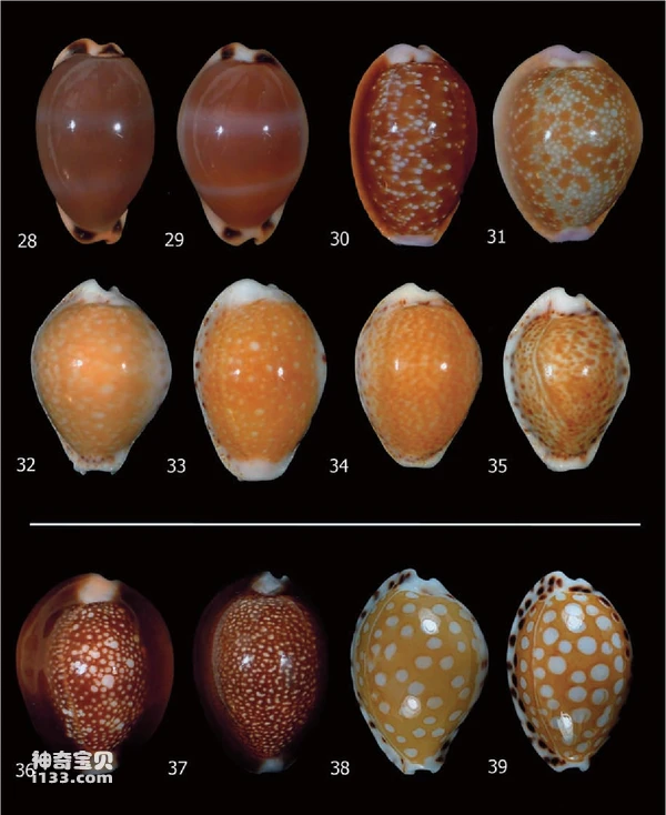 2023110720553903.png 10.png