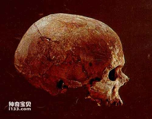 Humanity's understanding of its own development history