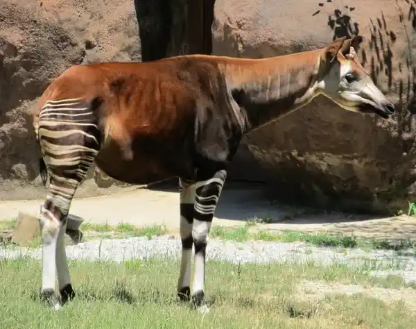 2025092515002881.webp 2.webp