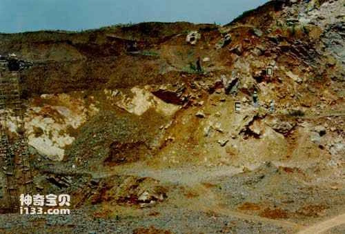 The discovery of the fossil of Eosimias sinensis