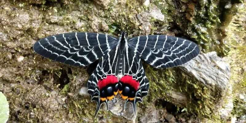 2024110616798590.jpg 77.jpg