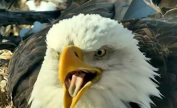 2024112341718992.jpg 6.jpg