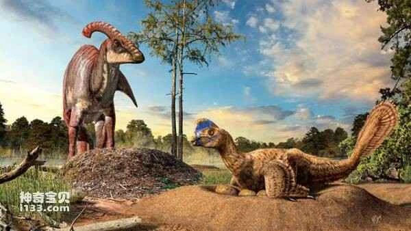 The world's largest dinosaur nesting site