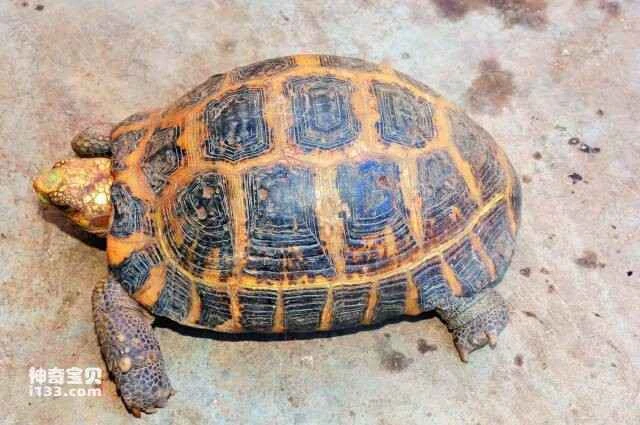 2023051117768768.jpg 5.jpg