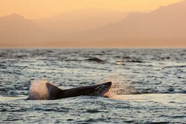 2025082570768618.webp 11.webp