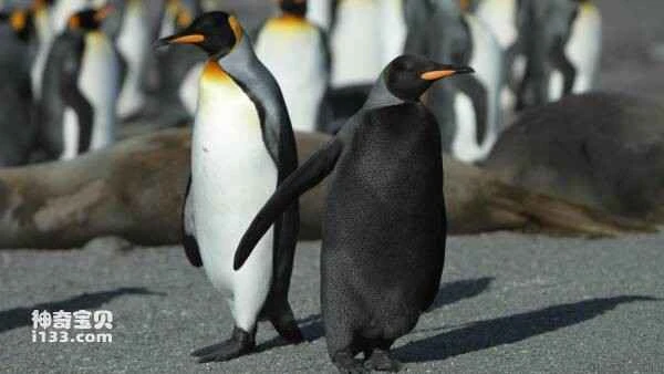 2023110394031847.jpg 5(1).jpg