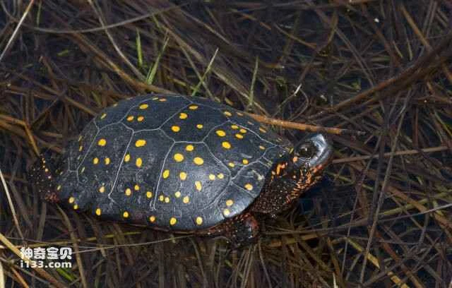 2023051126517170.jpg 77.jpg